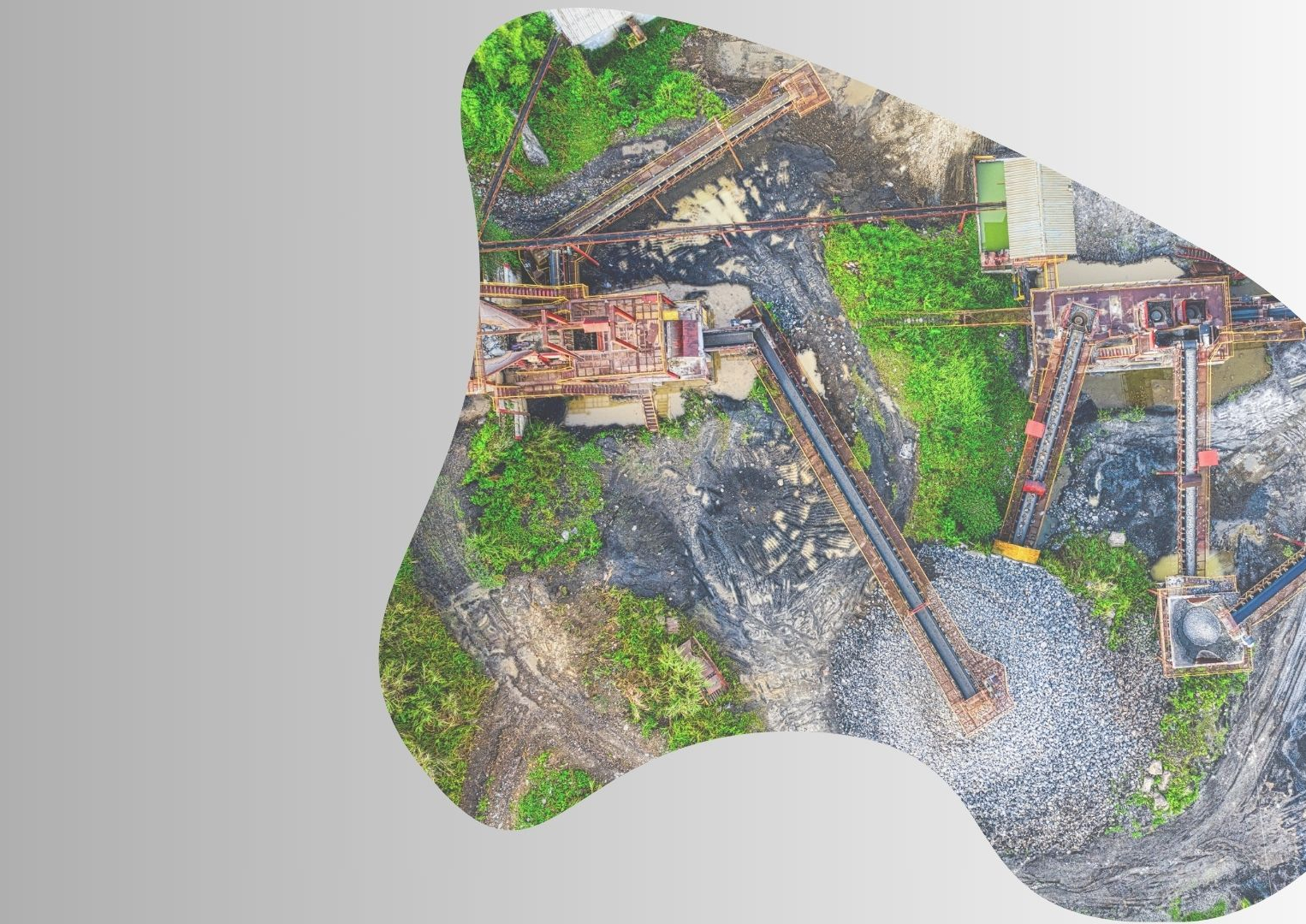 Optimus Company Profile (1)